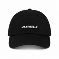 APELI CAP V1